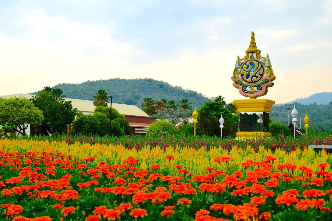 Doi Buak Khon