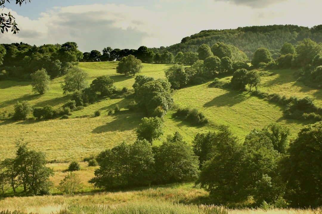 Arbory Hill