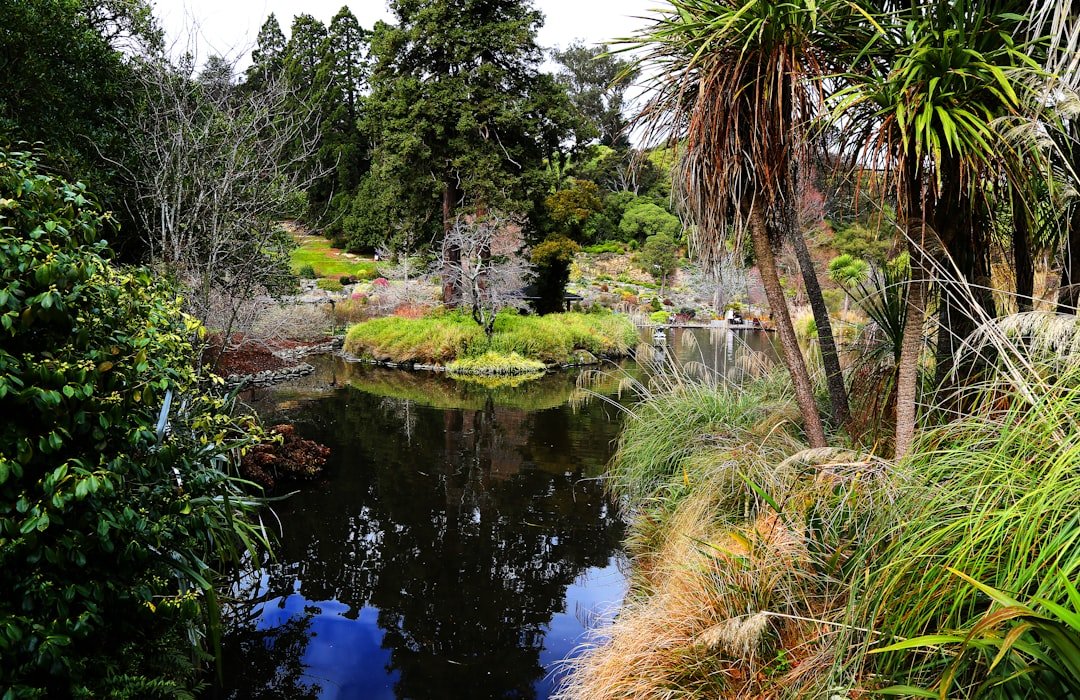 Garden of Allah