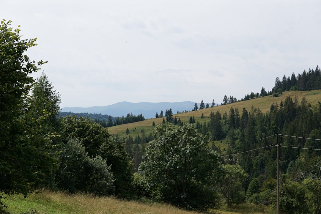 Planpraz