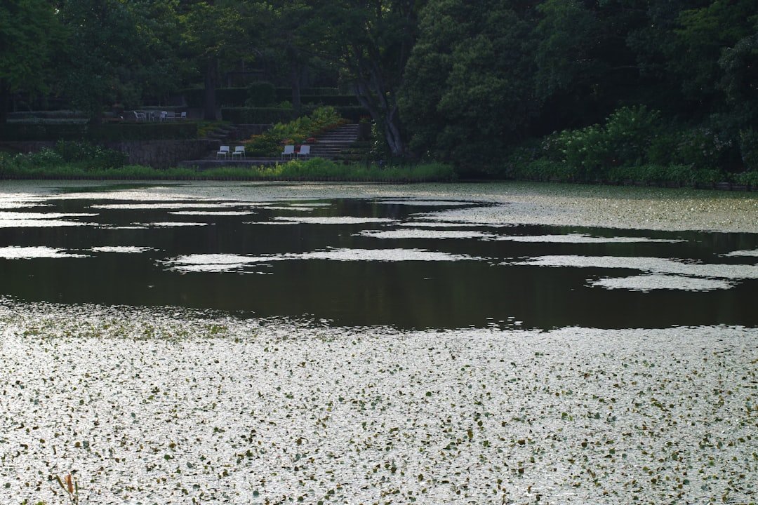 Azami Pond