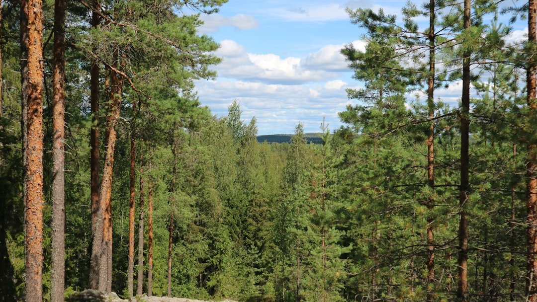 Kahperuslatjna