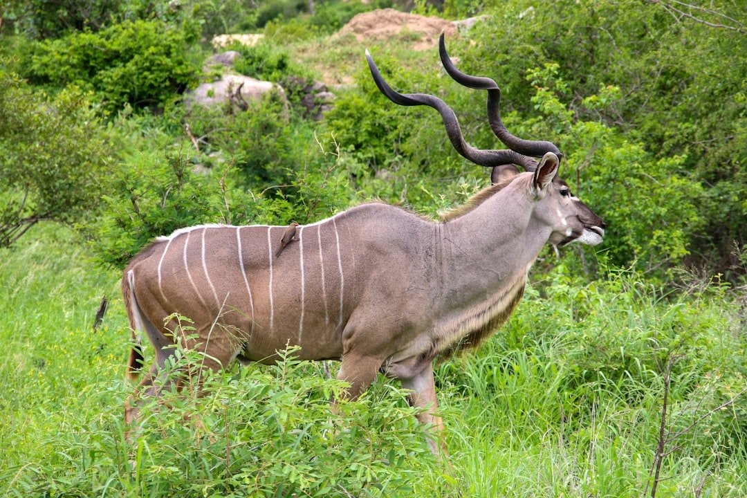 Lam Nam Kra Buri National Park