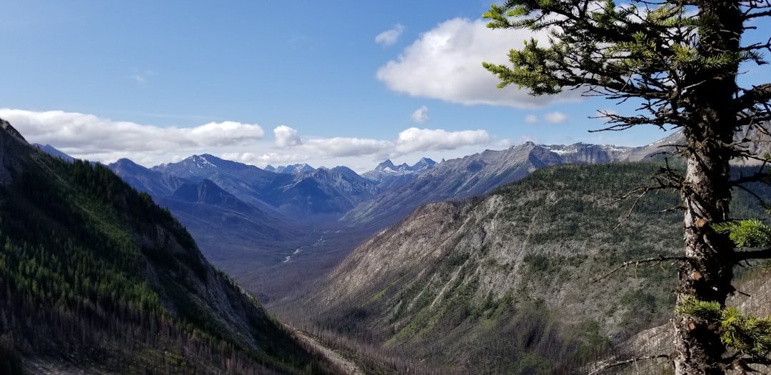 Brigham Chute