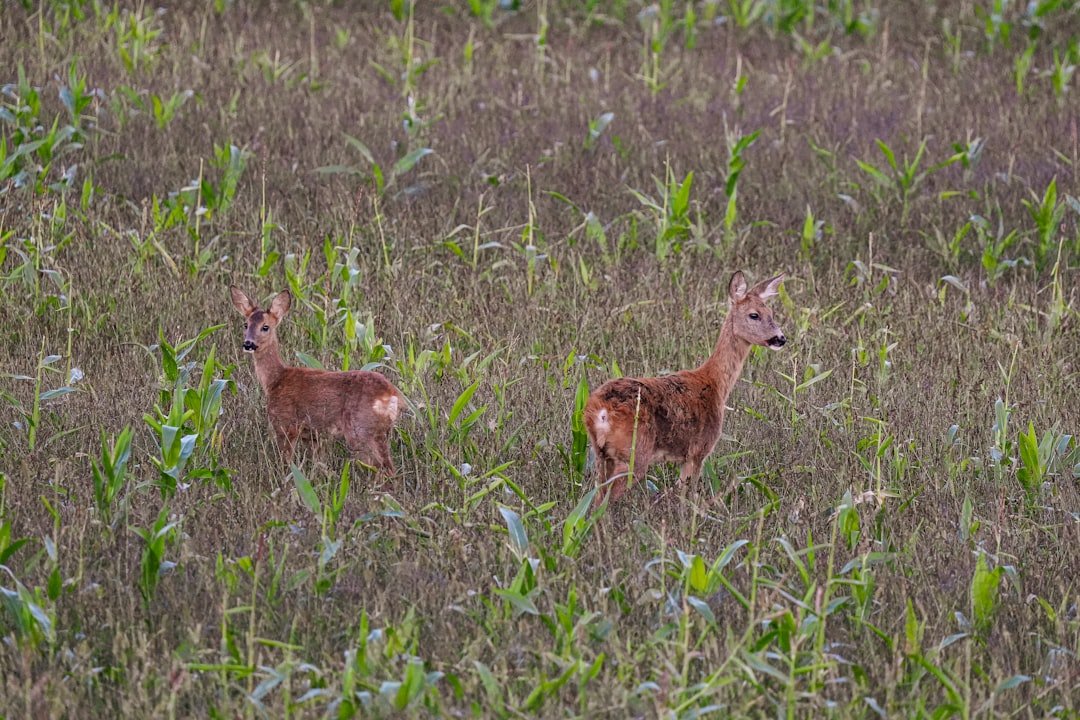 Khao Laem Ya – Mu Ko Samet National Park