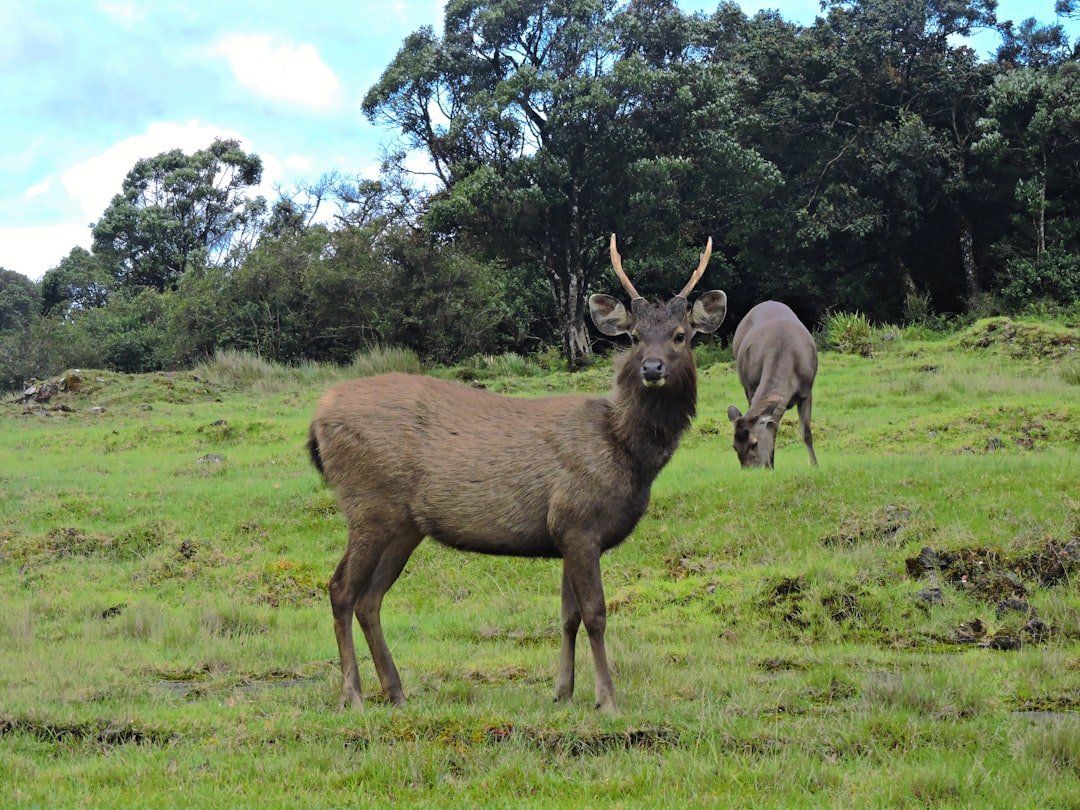 Nene Hatun Historical National Park