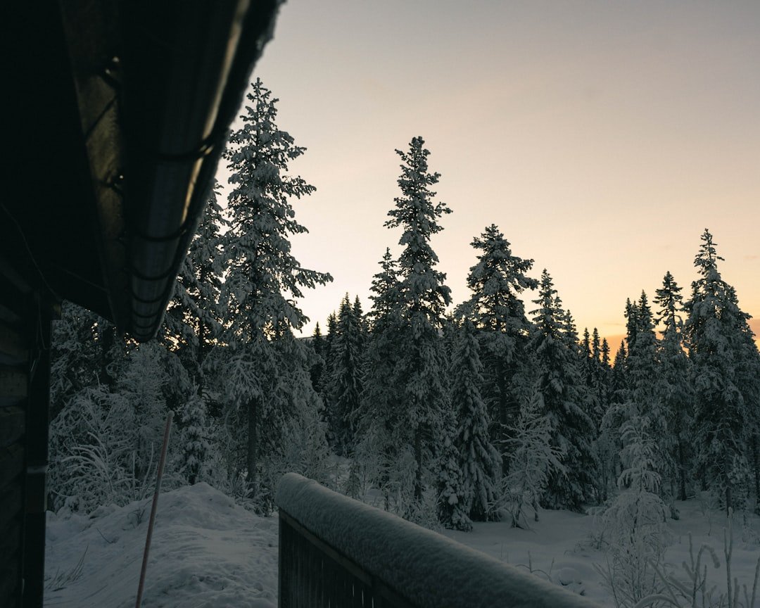 Norrforsen