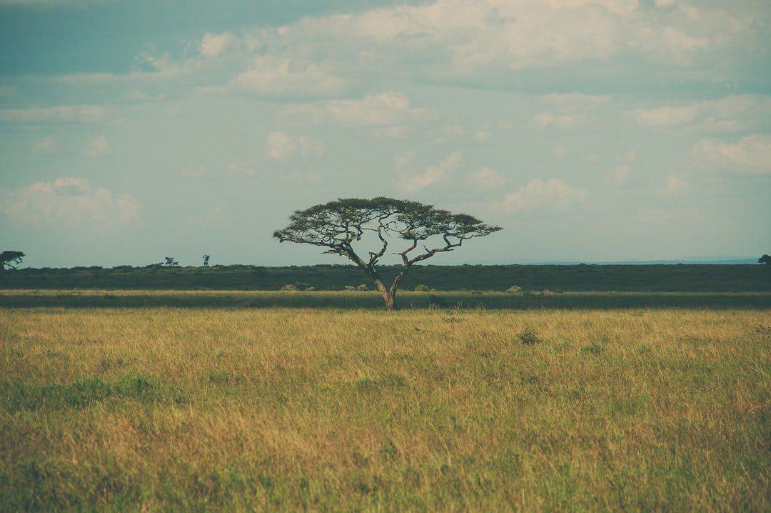 Kinyika