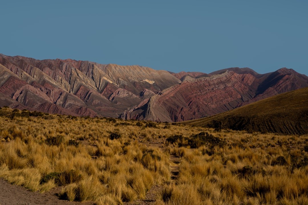 Abra de Cajón