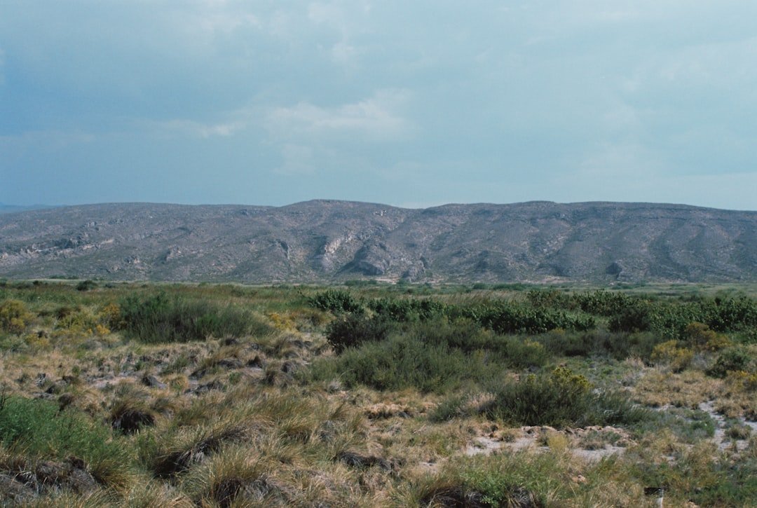 Northern EPR-Segment RO2