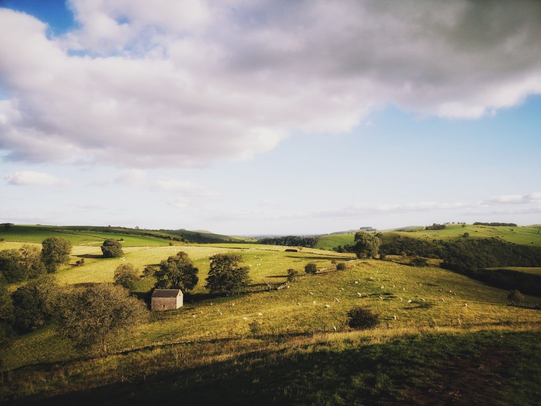 Arenig Fawr