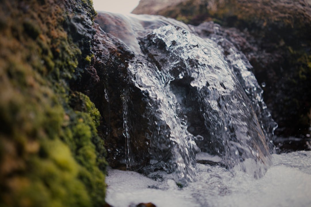 Derrygown Linn