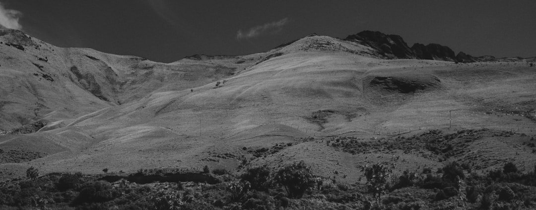 Gulch Glacier