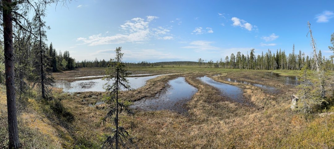 Salla National Park