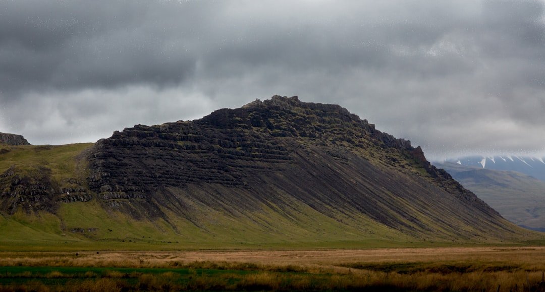 Steinsholtsjökull
