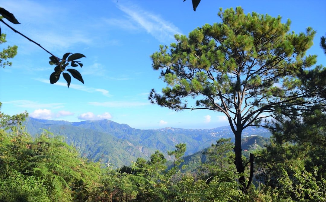 Green Peak