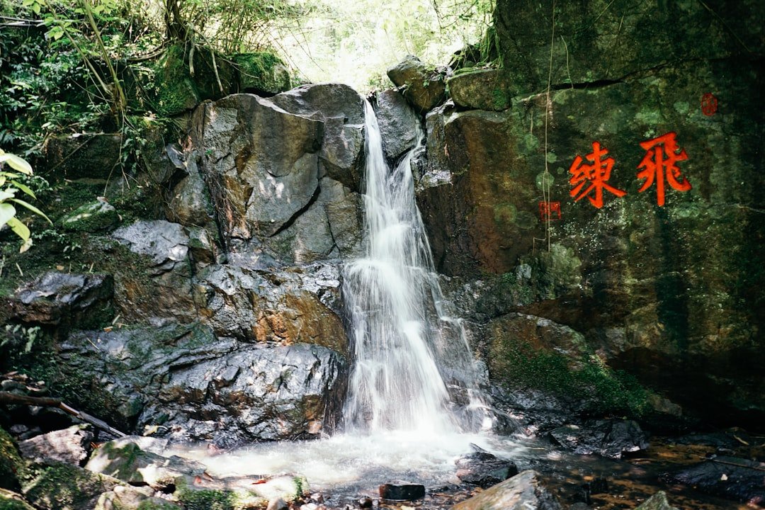 Yuhanch'ong-p'okp'o