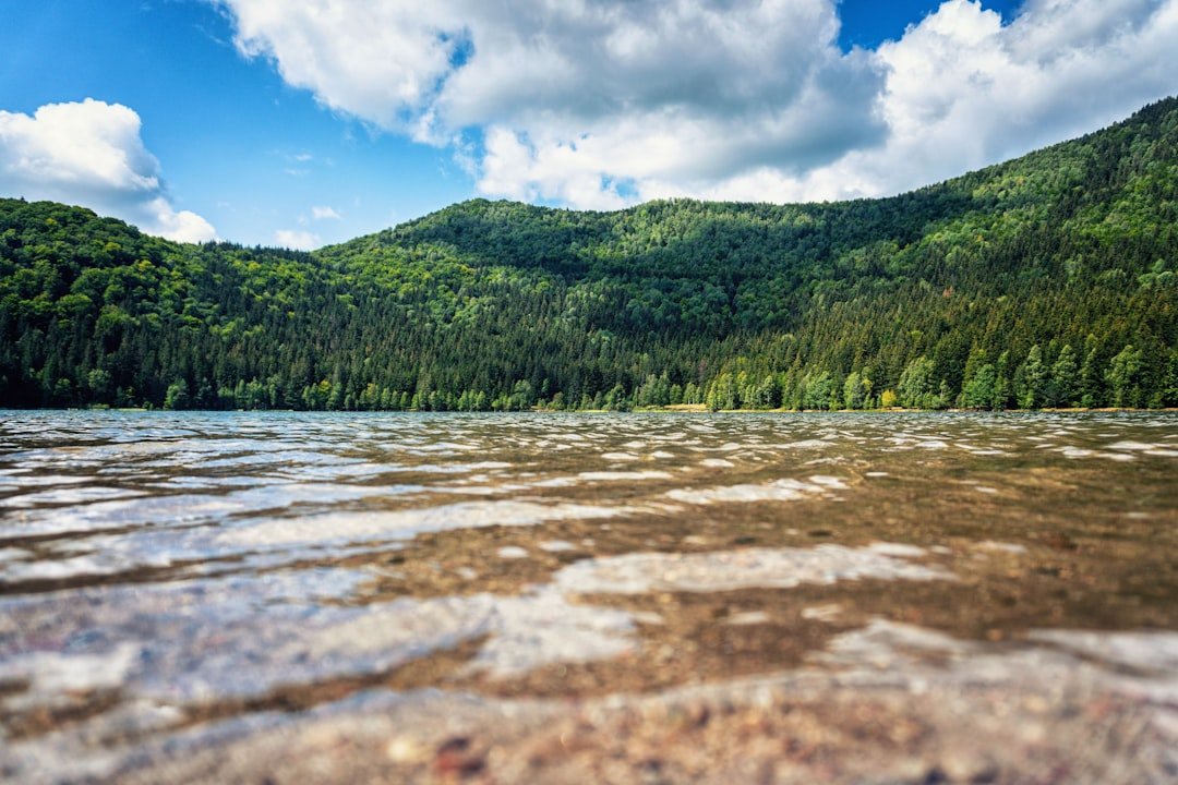 Lake Anna