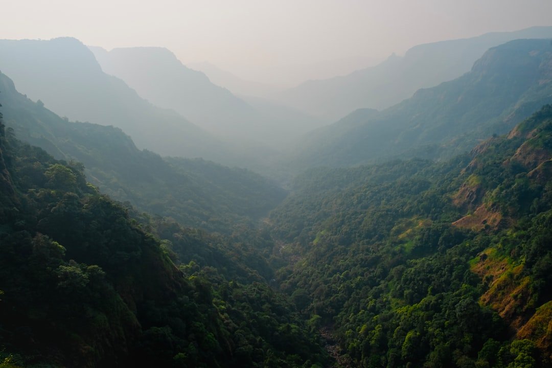 Mahavir Harina Vanasthali National Park