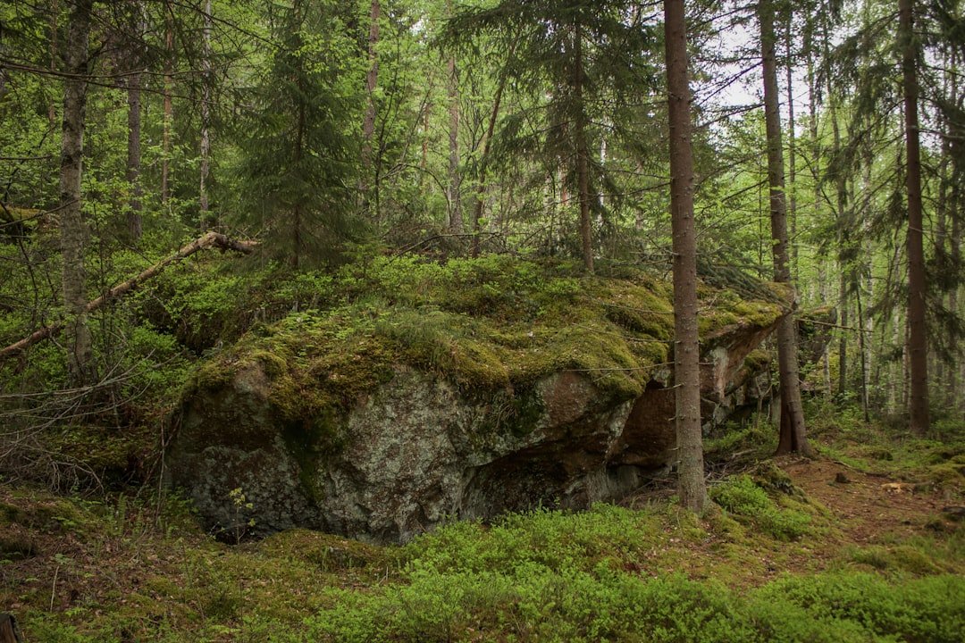 caves of Jeremias