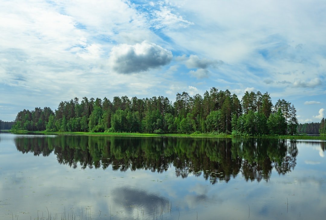 Kalkkoaivi