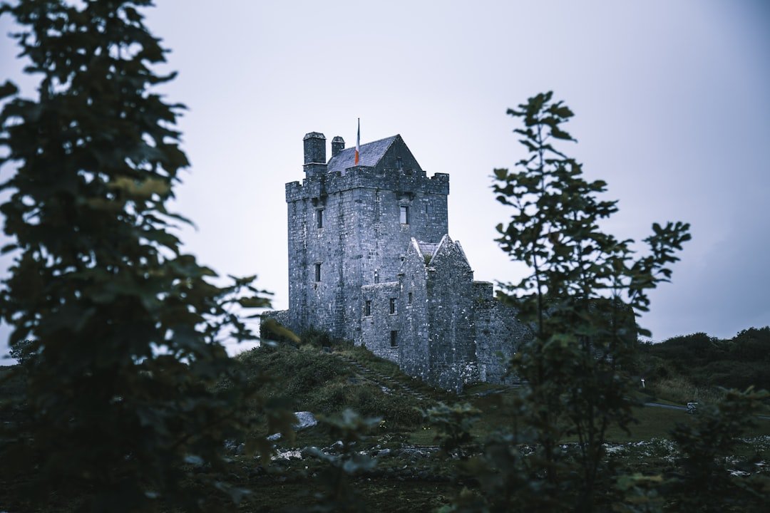 Baggotrath Castle
