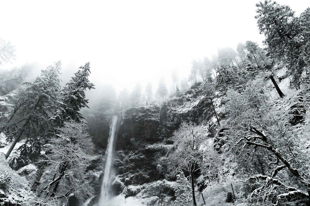 Douglas Falls