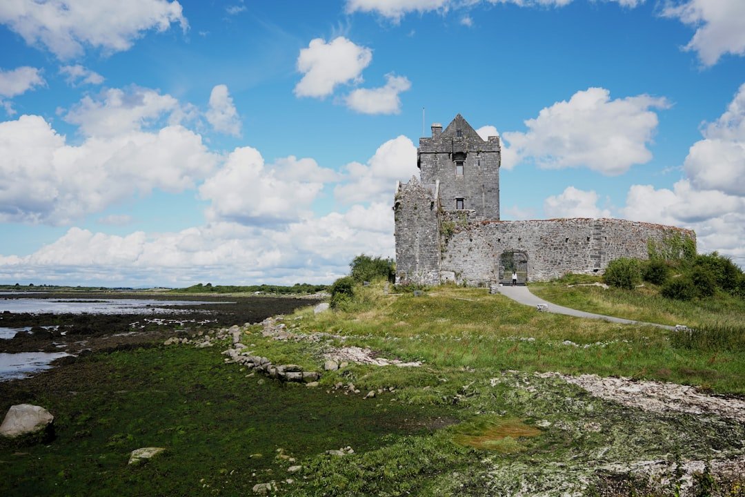 Ballyloughan Castle