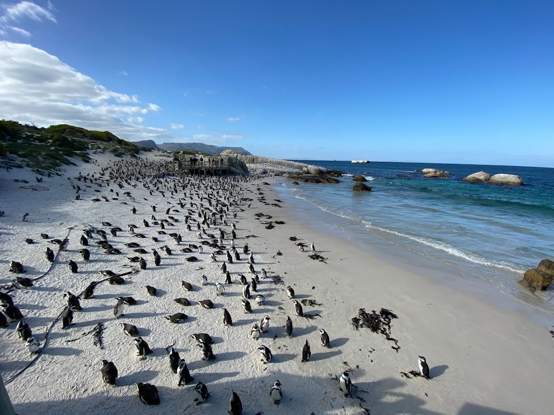 Battery Beach