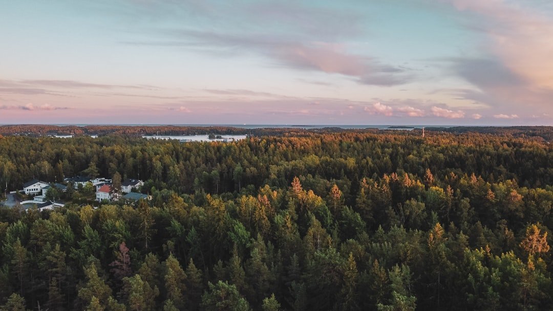 Guovdoaivi
