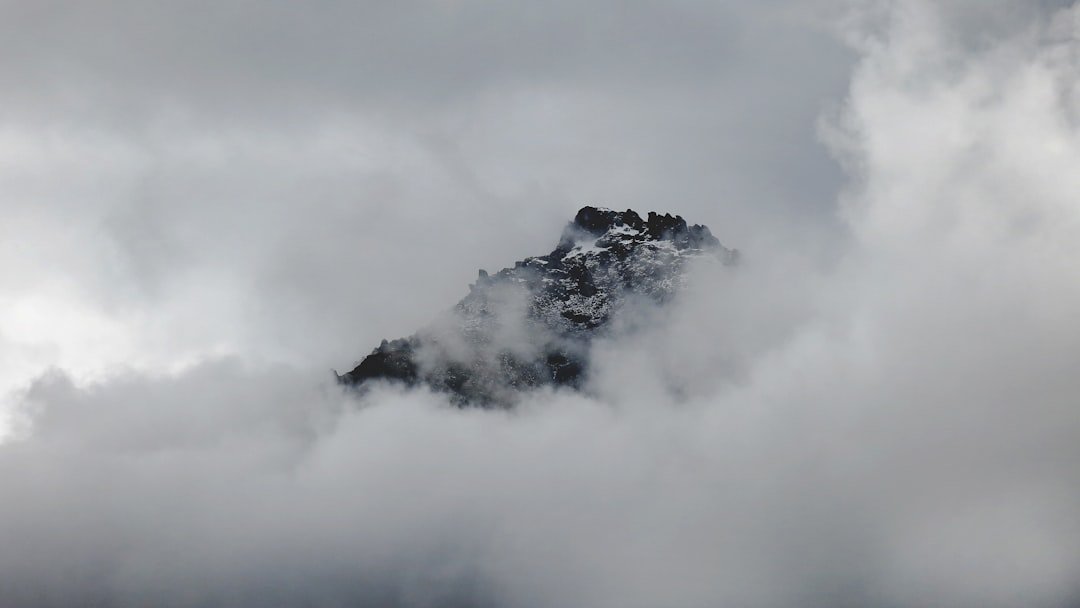 Grey Glacier