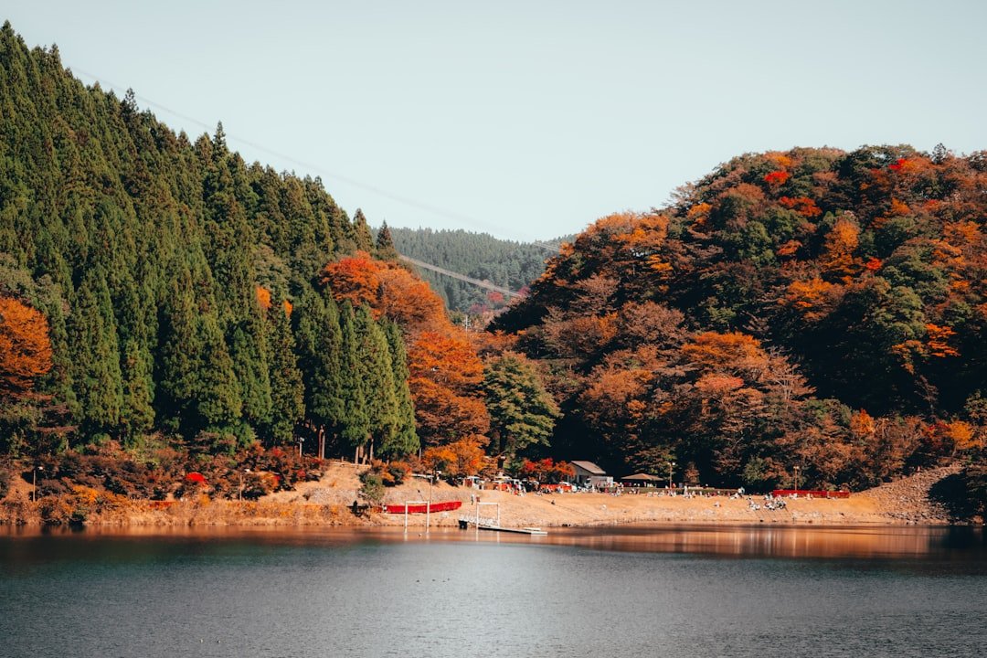 Hachiman Taki