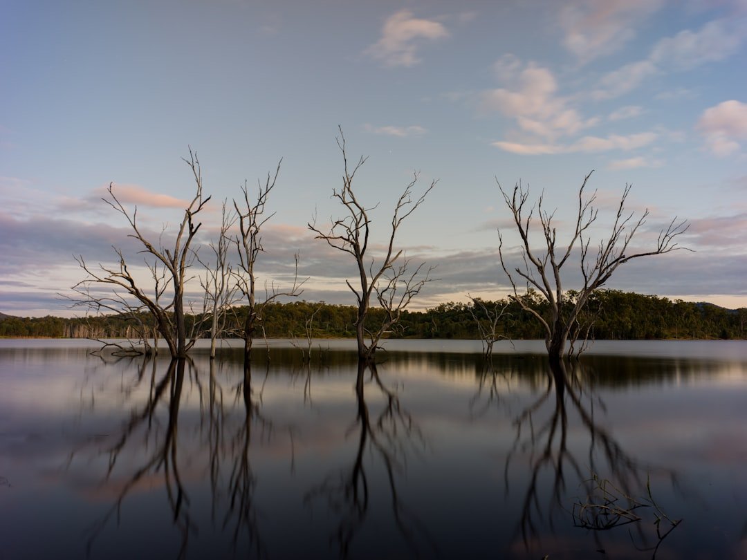 Albina Lake