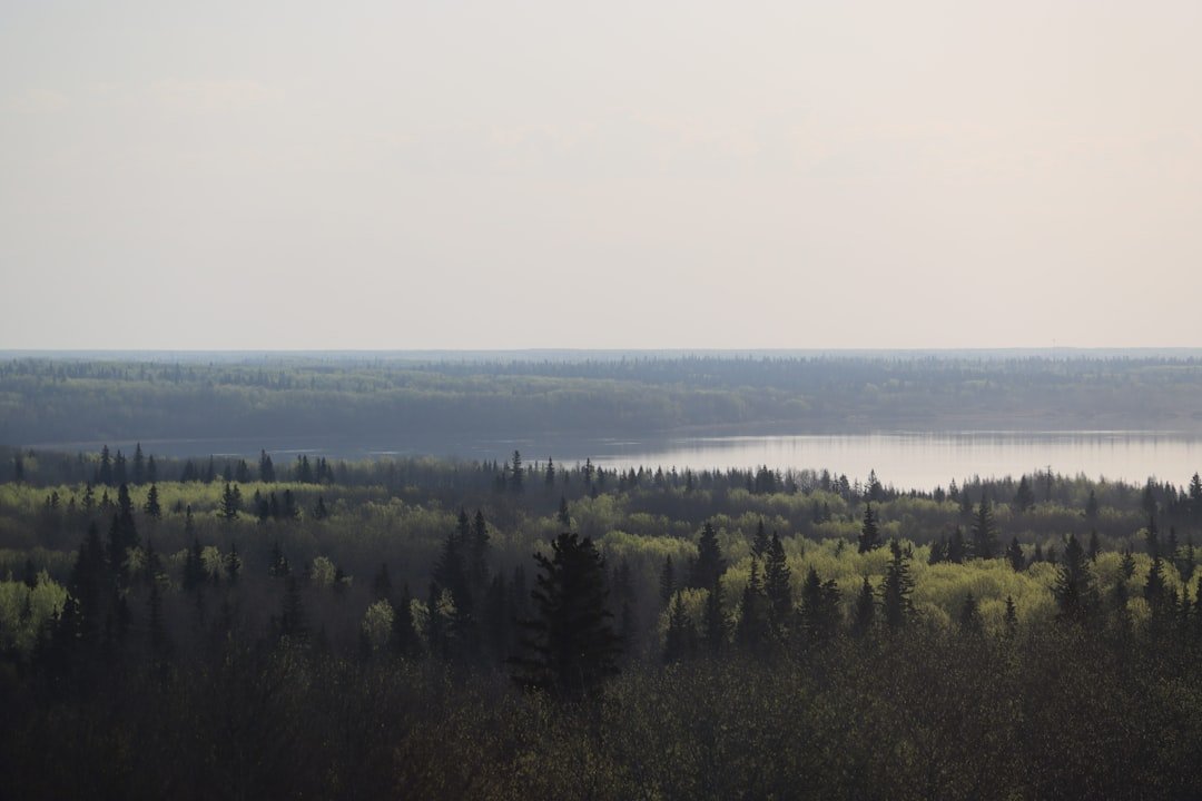 Aarons Lookout