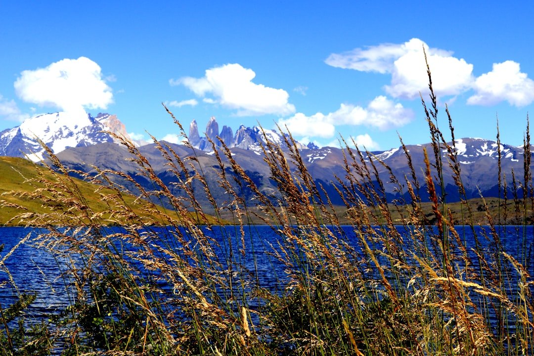 Lago Alto