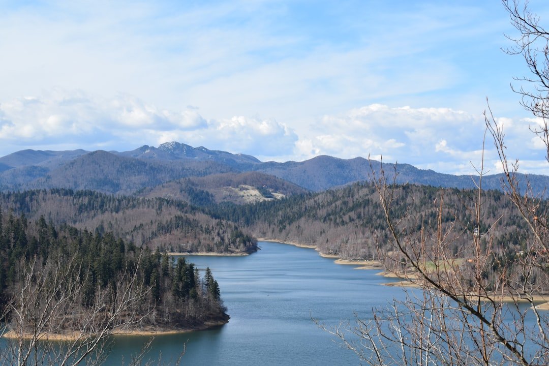 Lokvarsko jezero