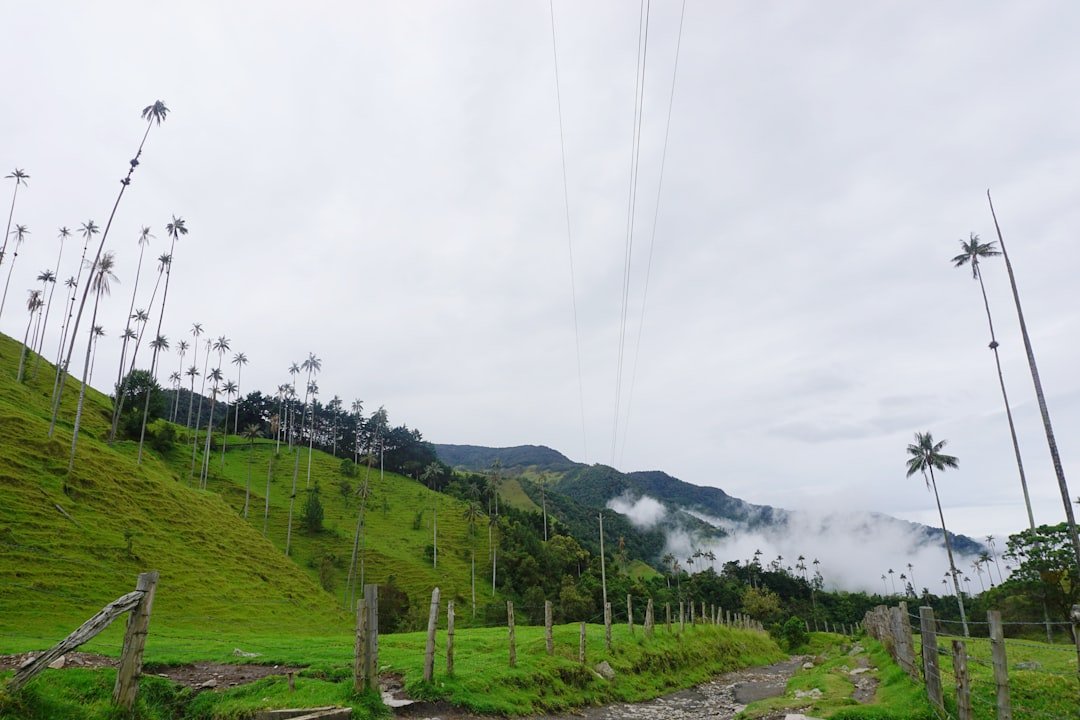 Salto Rafael