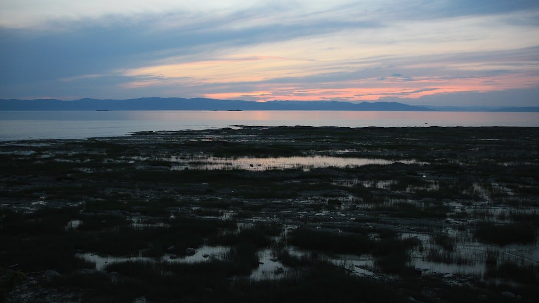 Barren Shore