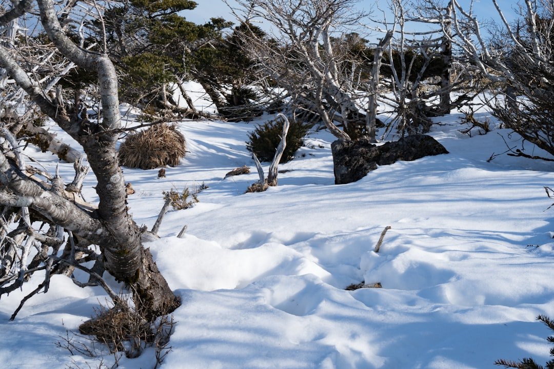 Nevado de Colima National Park