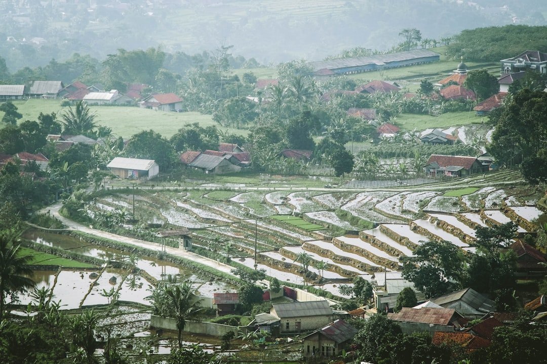 Adianlangit