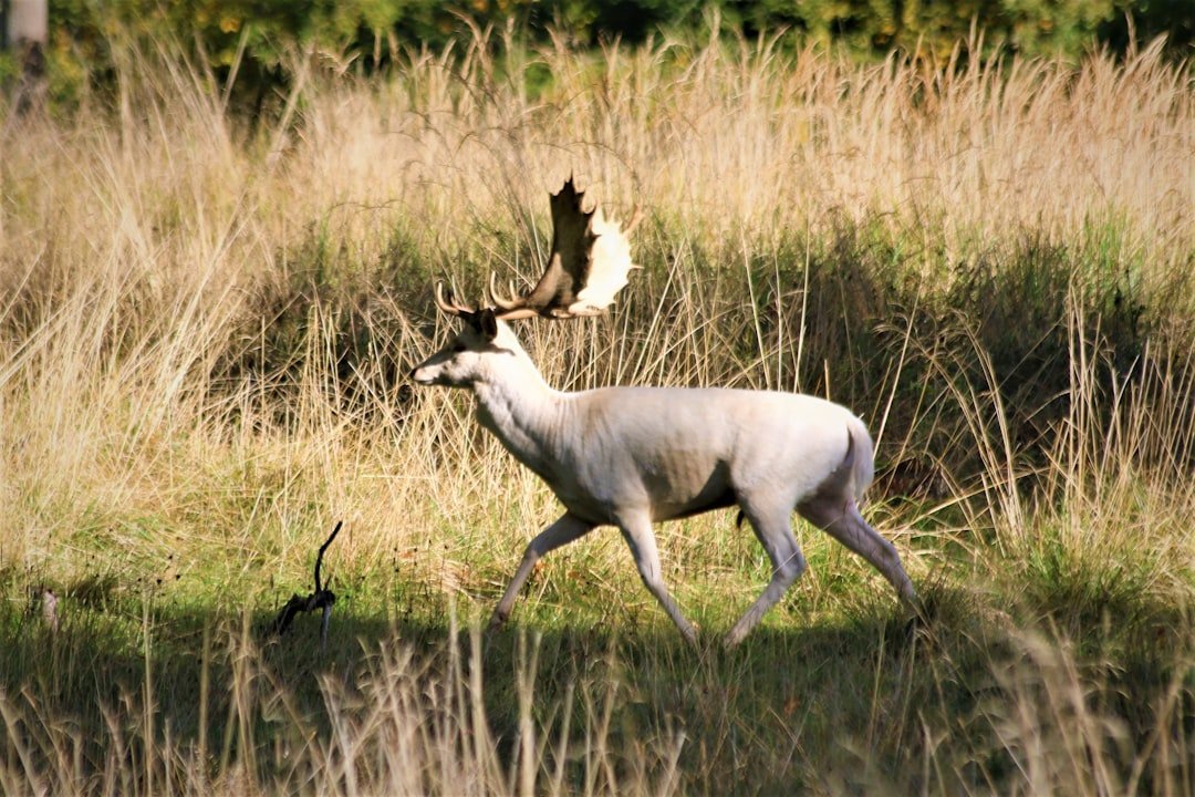 Söderåsen National Park
