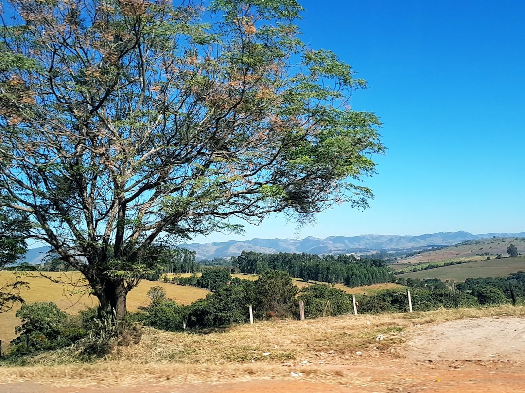 Laje de Piraquara