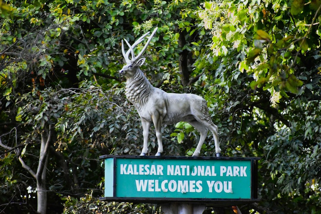 El Veladero National Park