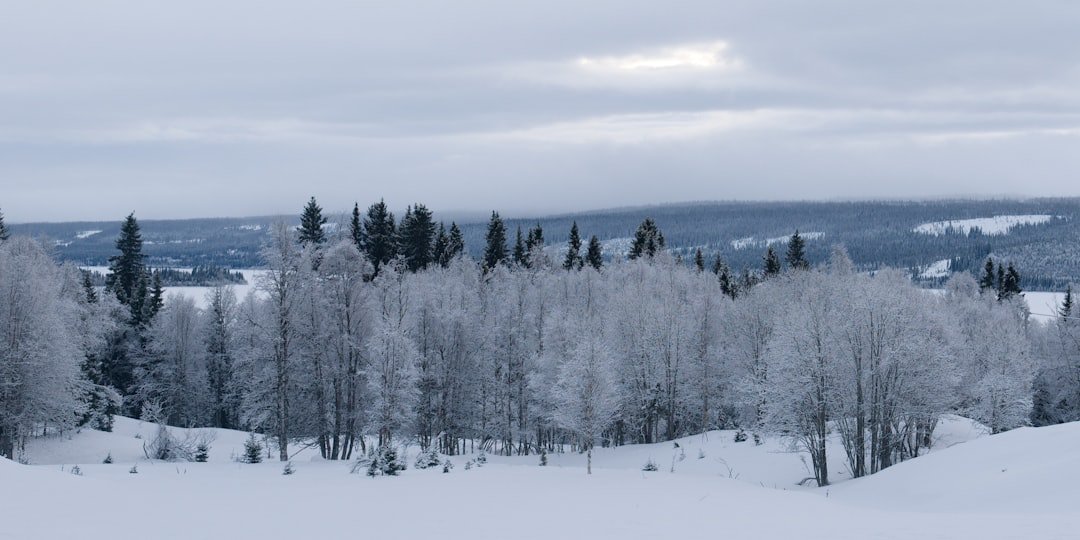 Nordöstra Kaskasatjåkkaglaciären