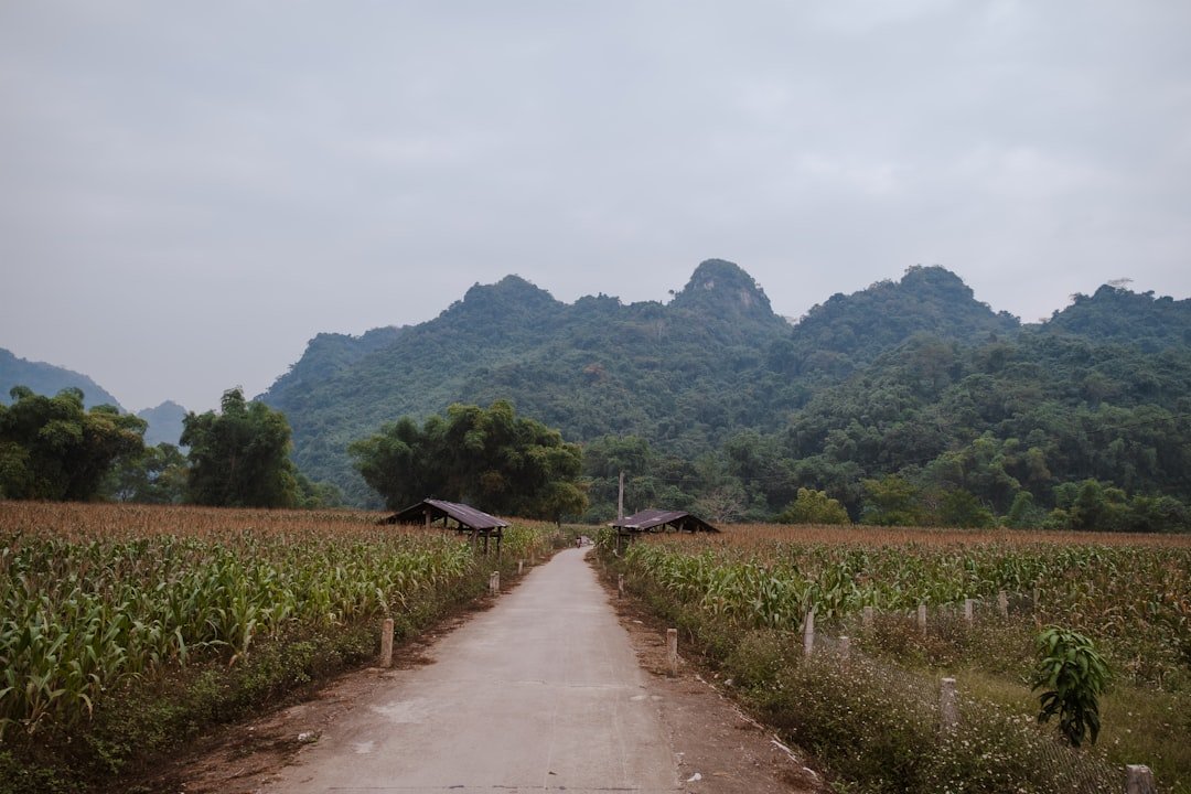 Bù Mun