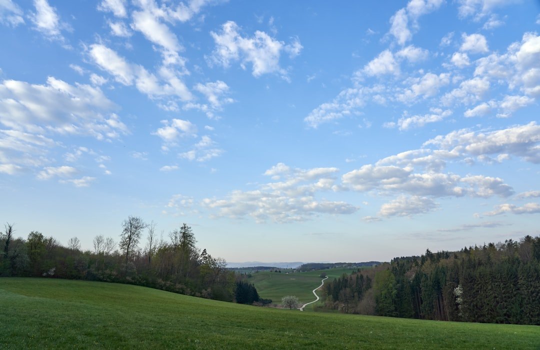 Aussichtsturm Rathmannsdorf