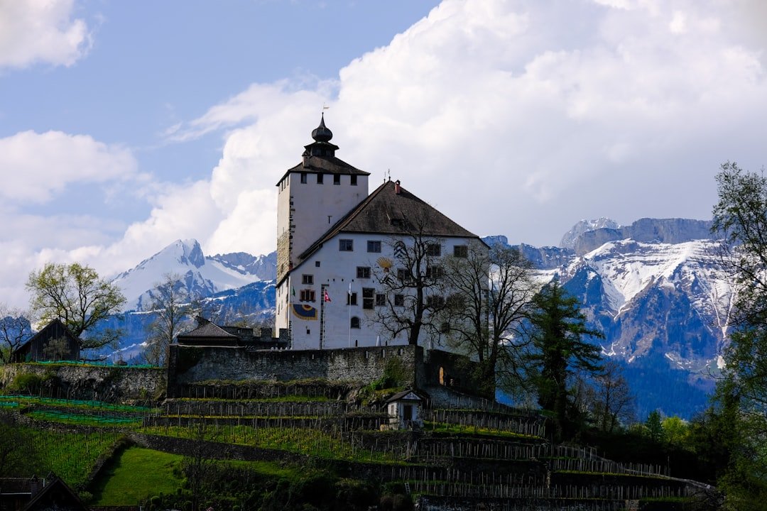 Buchegg Castle