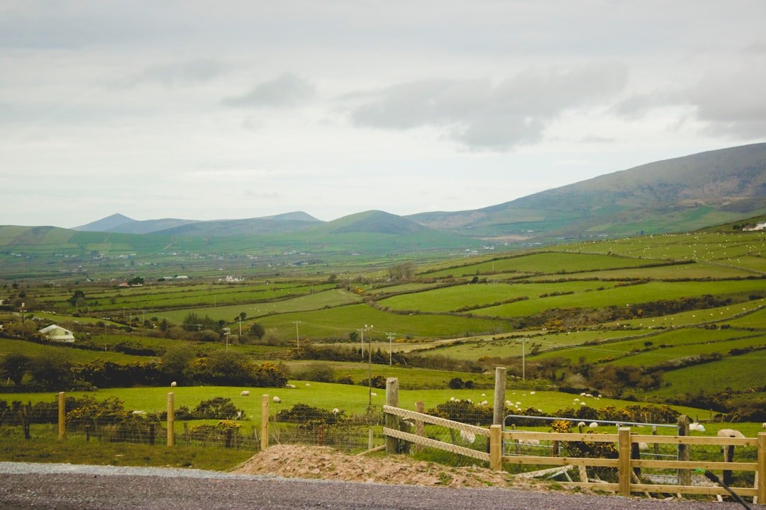 Ben Bulben, Gleniff and Glenade Complex