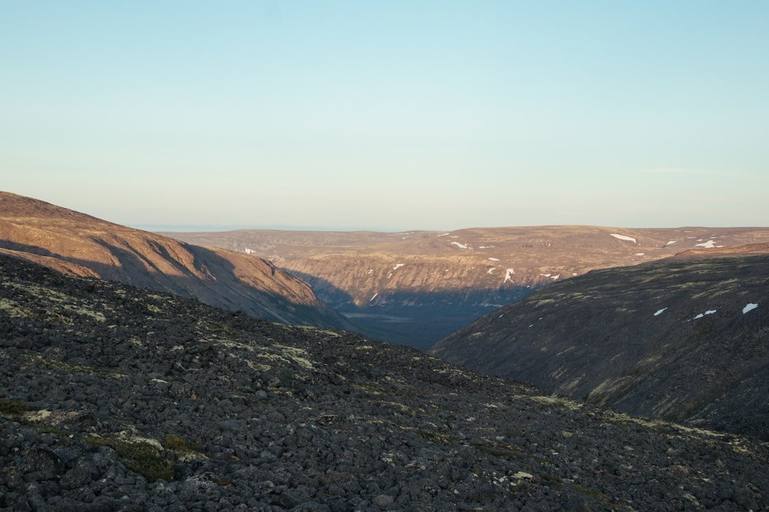 Abyfoss