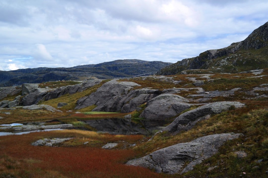 Asgjærdsnesfossane